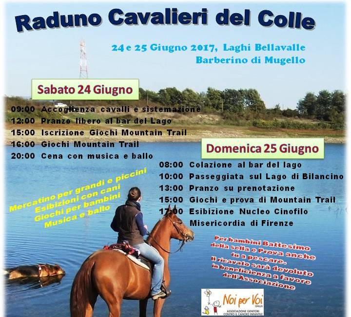 Cavalieri del Colle Raduno